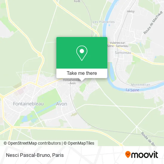 Nesci Pascal-Bruno map