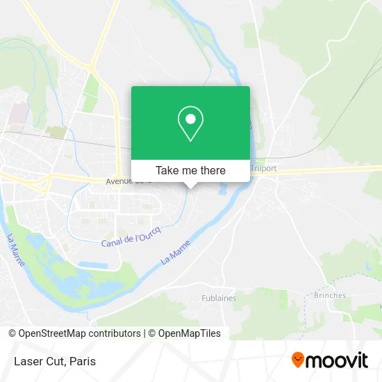 Laser Cut map