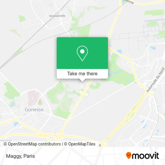 Maggy map