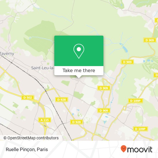 Ruelle Pinçon map