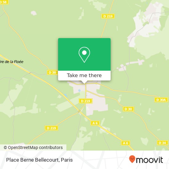 Place Berne Bellecourt map