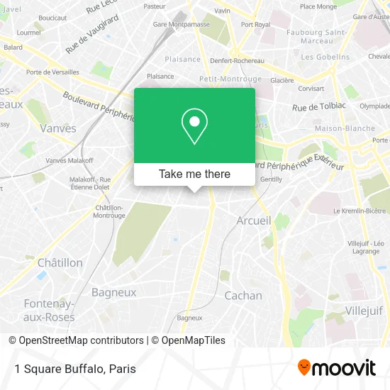 1 Square Buffalo map