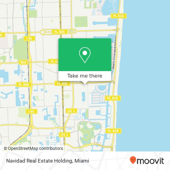 Navidad Real Estate Holding map