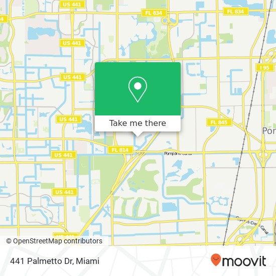 441 Palmetto Dr map