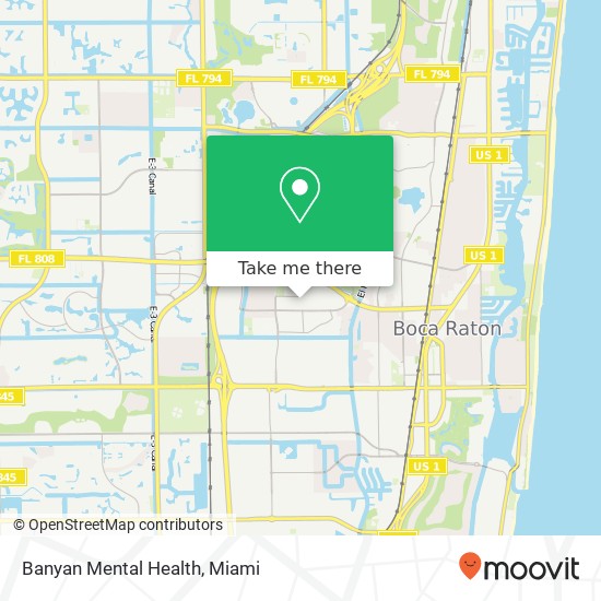 Banyan Mental Health map