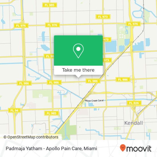 Padmaja Yatham - Apollo Pain Care map