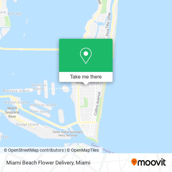 Miami Beach Flower Delivery map