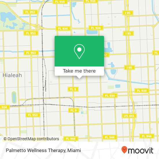 Mapa de Palmetto Wellness Therapy