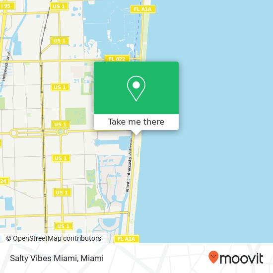 Mapa de Salty Vibes Miami