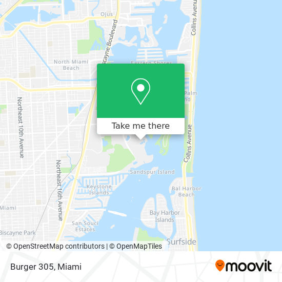 Burger 305 map