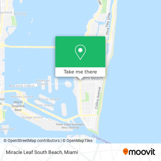 Mapa de Miracle Leaf South Beach