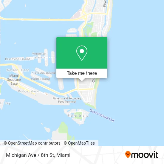 Mapa de Michigan Ave / 8th St