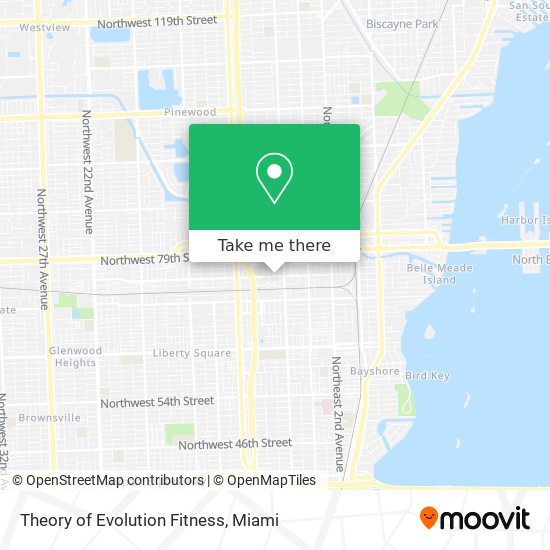 Theory of Evolution Fitness map