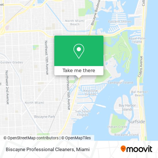 Biscayne Professional Cleaners map