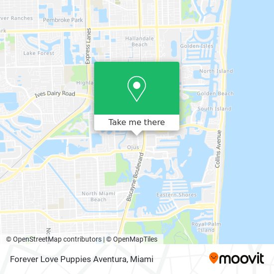 Mapa de Forever Love Puppies Aventura