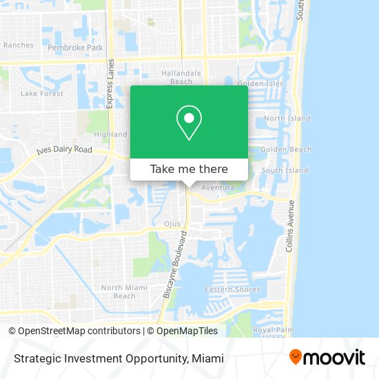 Strategic Investment Opportunity map