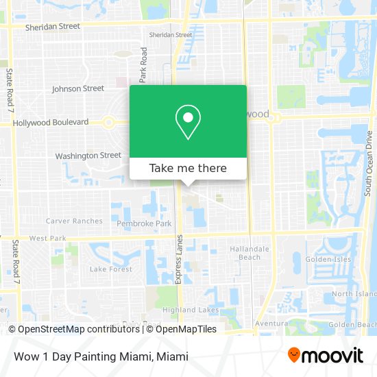Wow 1 Day Painting Miami map