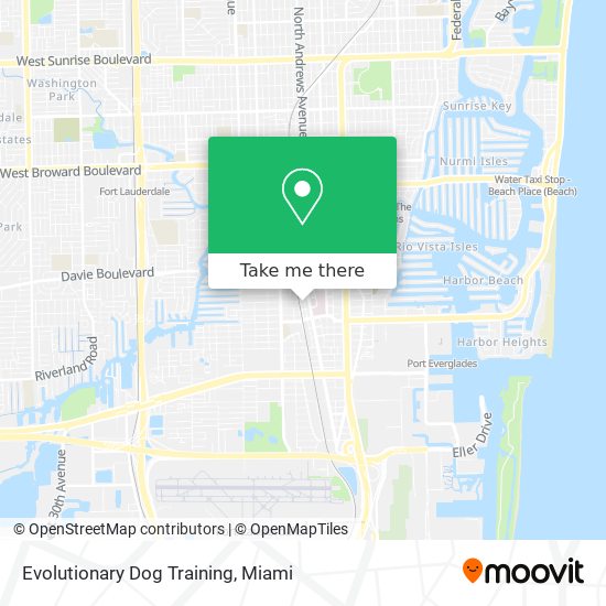 Evolutionary Dog Training map