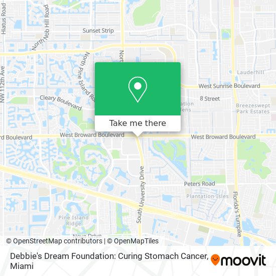 Mapa de Debbie's Dream Foundation: Curing Stomach Cancer