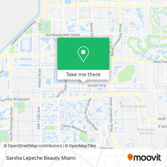 Sarsha Lepeche Beauty map