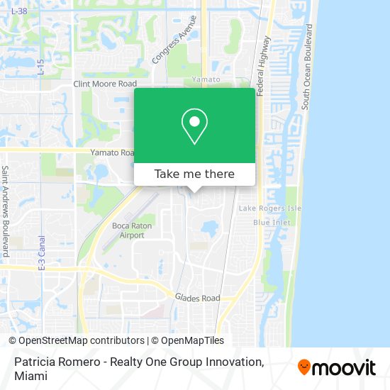 Patricia Romero - Realty One Group Innovation map