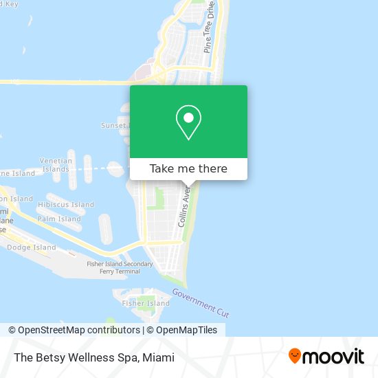 The Betsy Wellness Spa map