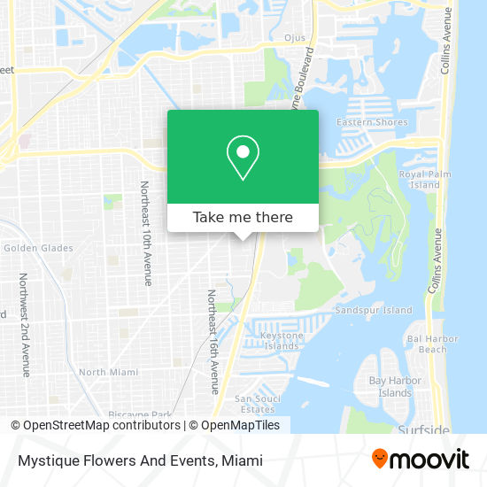 Mystique Flowers And Events map