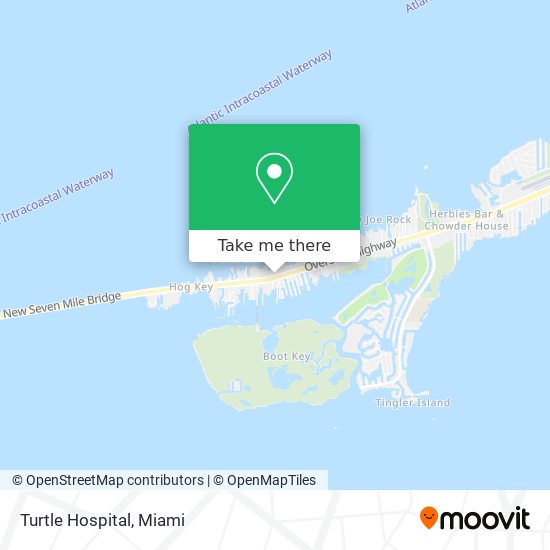 Turtle Hospital map