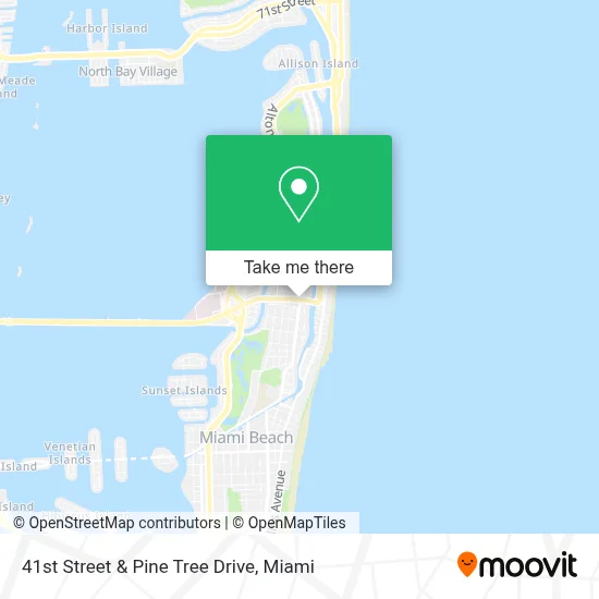 41st Street & Pine Tree Drive map