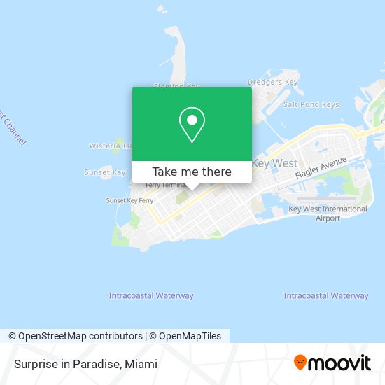 Mapa de Surprise in Paradise