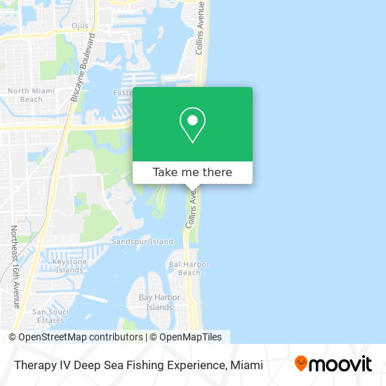 Therapy IV Deep Sea Fishing Experience map