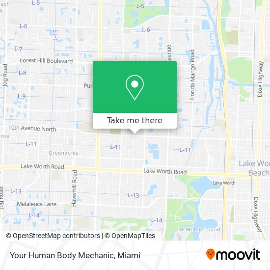 Your Human Body Mechanic map