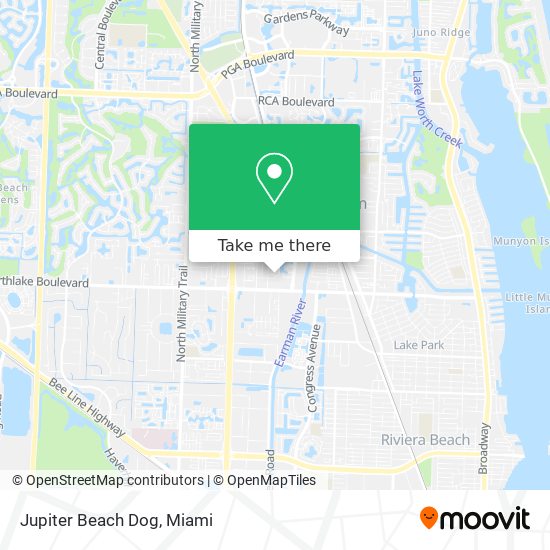 Jupiter Beach Dog map