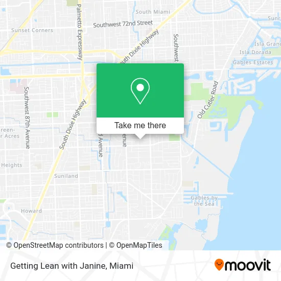 Getting Lean with Janine map