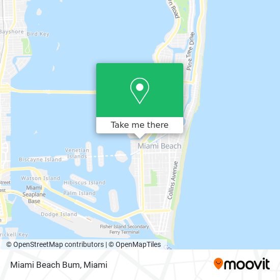 Mapa de Miami Beach Bum