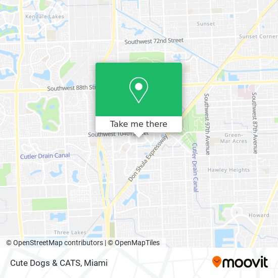 Cute Dogs & CATS map