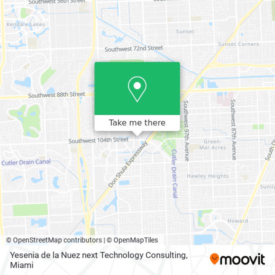 Yesenia de la Nuez next Technology Consulting map