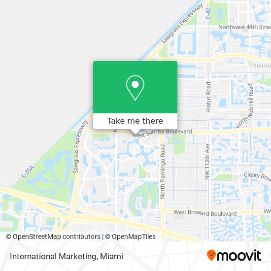 International Marketing map