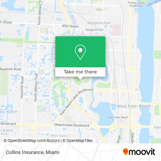 Collins Insurance map