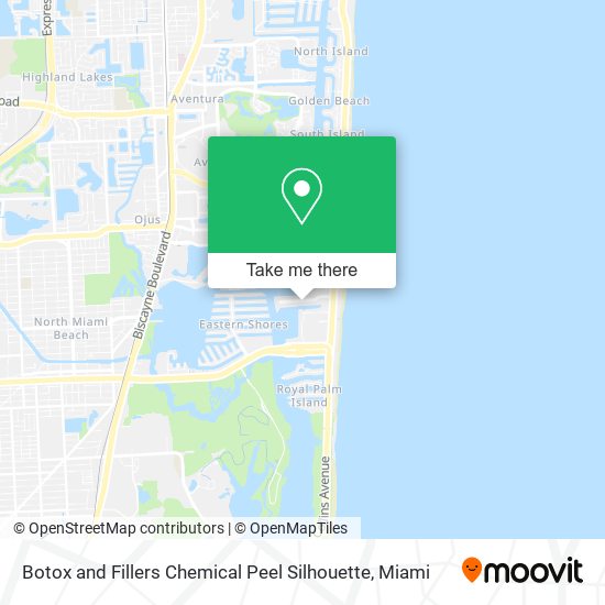 Botox and Fillers Chemical Peel Silhouette map