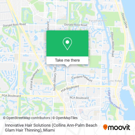 Innovative Hair Solutions (Collins Ann-Palm Beach Glam Hair Thinning) map