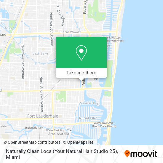 Naturally Clean Locs (Your Natural Hair Studio 25) map