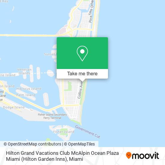 Hilton Grand Vacations Club McAlpin Ocean Plaza Miami (Hilton Garden Inns) map
