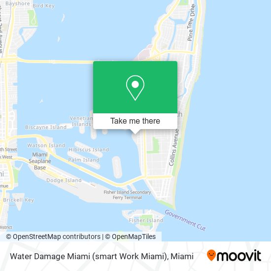 Mapa de Water Damage Miami (smart Work Miami)