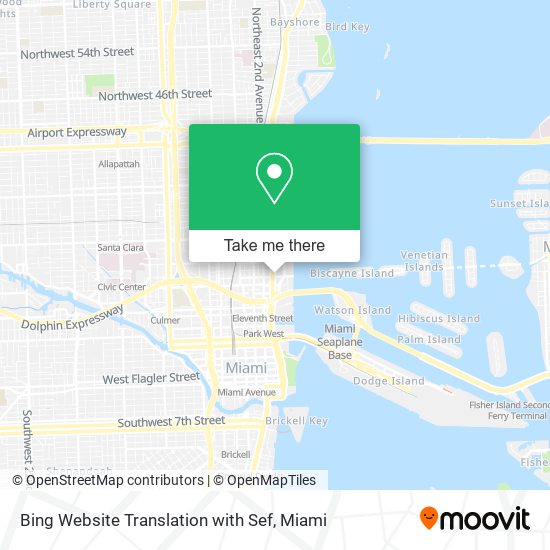Bing Website Translation with Sef map