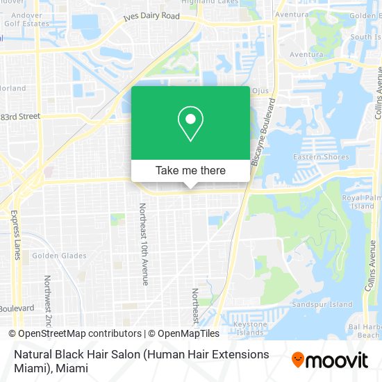 Mapa de Natural Black Hair Salon (Human Hair Extensions Miami)