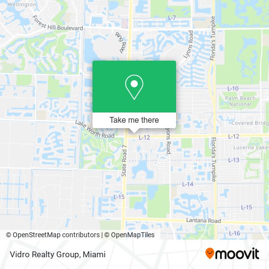 Vidro Realty Group map