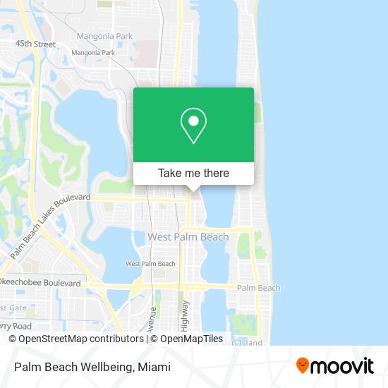 Palm Beach Wellbeing map