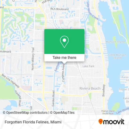 Forgotten Florida Felines map