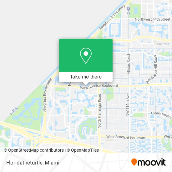 Floridatheturtle map